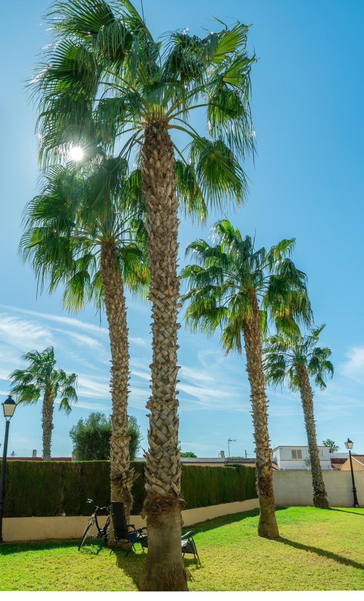 Club Salino Hideaway-Your Peaceful Retreat With Pool In Torrevieja Zewnętrze zdjęcie